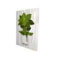 thumbnail image 1 of Oregano on wood - 24"x36" canvas - Print on demand, 1 of 5