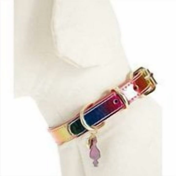 Betsey Johnson 9.5-11.5-in xox Trolls Dog Collar (Rainbow)
