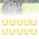 thumbnail image 1 of 10 Piezas De Destete De Terneros De Plástico Grueso Con Espinas Para Nariz De Vaca, Resistentes Y Fiables Para Uso Prolongado, Con Diseño Redondeado Y Suave Para Proteger A Las, 1 of 7