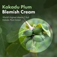 thumbnail image 4 of Crema quitamanchas TOSOWOONG Kakadu Plum 50 g, 4 of 6