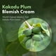 thumbnail image 4 of Crema quitamanchas TOSOWOONG Kakadu Plum 50 g, 4 of 6
