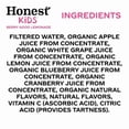 thumbnail image 4 of (Pack Of 5) Honest Kids Juice Berry Good Lemonade 48 Fo, 4 of 5