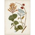 thumbnail image 2 of Art.com Vintage Flowering Trees IV Art Print by 0 Unknown, 12" x 16", 2 of 4