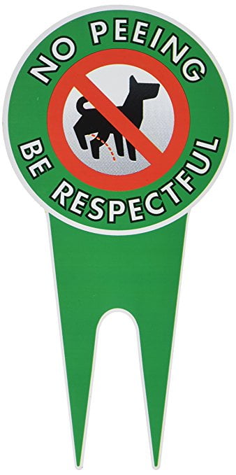 how to stop dogs from peeing in the house