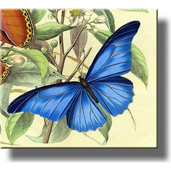 Beautiful Blue Butterfly Picture on Stretched Canvas, Wall Art Décor, Ready to Hang!