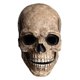 thumbnail image 1 of Máscara de calavera de Halloween espeluznante con casco de látex aterrador de mandíbula móvil Mov, 1 of 5
