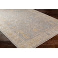 thumbnail image 3 of BoutiqueRugs Dally Traditional Area Rug - Medium Gray, Taupe, Charcoal - 7'10" x 10'2", 3 of 7