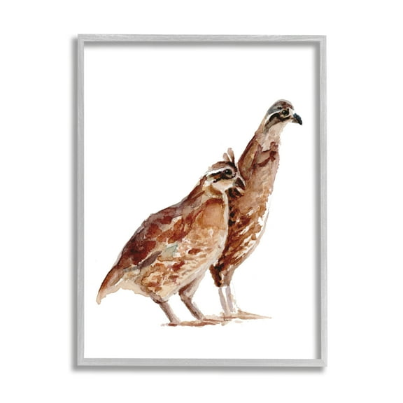 Stupell Industries Quail Bird Pair Children's Nursery Watercolor Painting Wildlife, 11 x 14,Design by Fox Hollow Studios