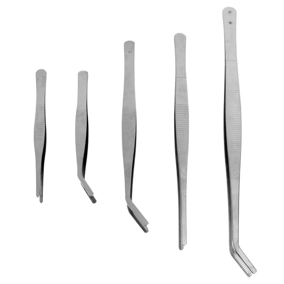 Shuliwen Tweezers 5pcs Stainless Steel Tweezers Succulent Gardening DIY Tool Gardening Accessory