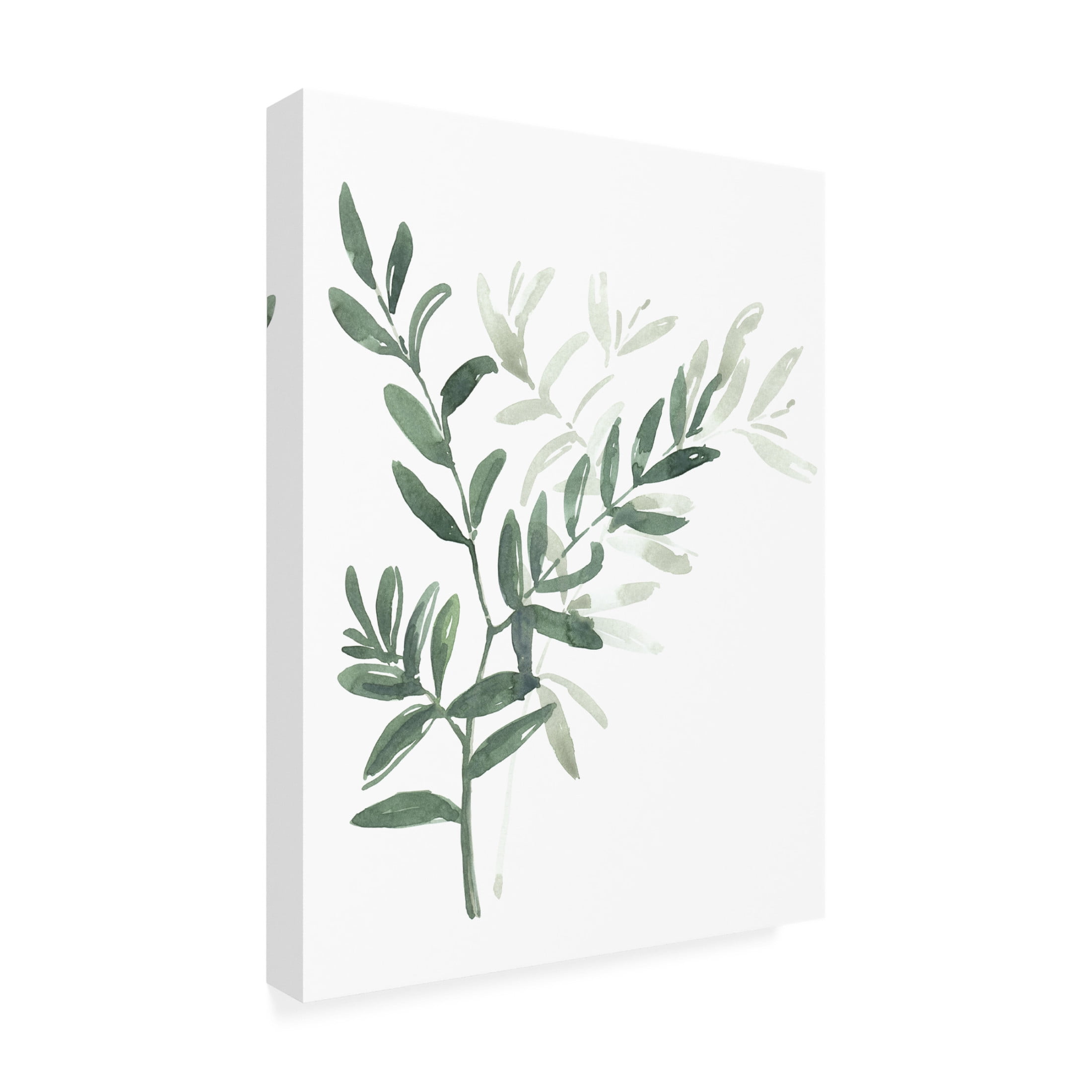 Trademark Fine Art Rosana Laiz Blursbyai Watercolor laurel branch Canvas Wall Art