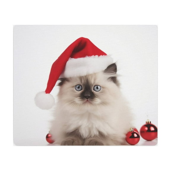 DistinctInk Mouse Pad - 1/4" Foam Rubber - Ragdoll Kitten