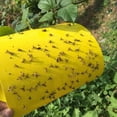 thumbnail image 4 of 10 Uds trampas adhesivas amarillas TUNC para plantas de interior asesino de plagas con paneles amarillos Control de mosquitos Sencillez, 4 of 5