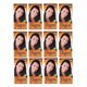 thumbnail image 1 of Tinte Bigen Castaño Intenso Pack 12, 1 of 2