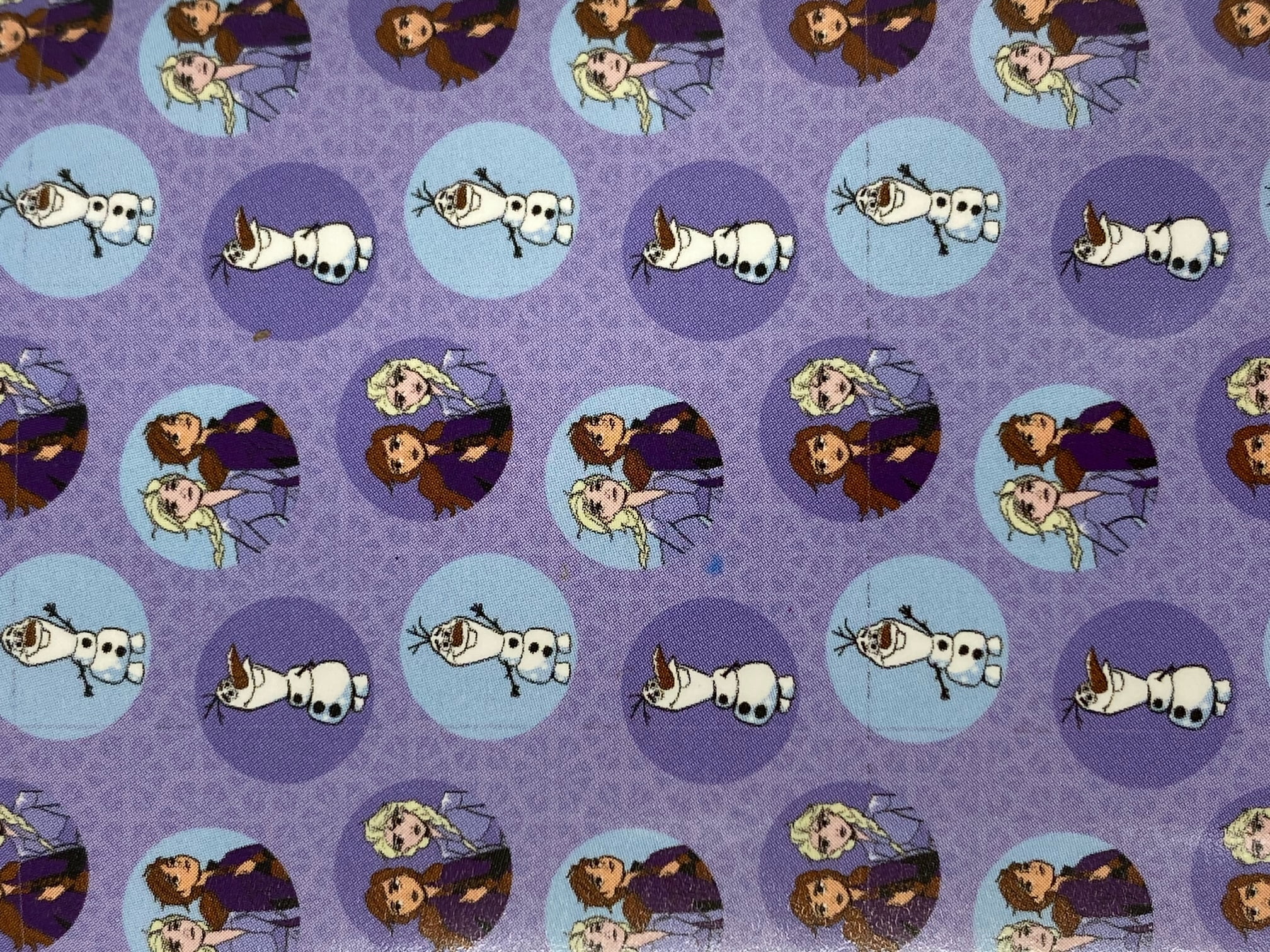 Disney Frozen Twin Full Silk Touch Blanket Throw