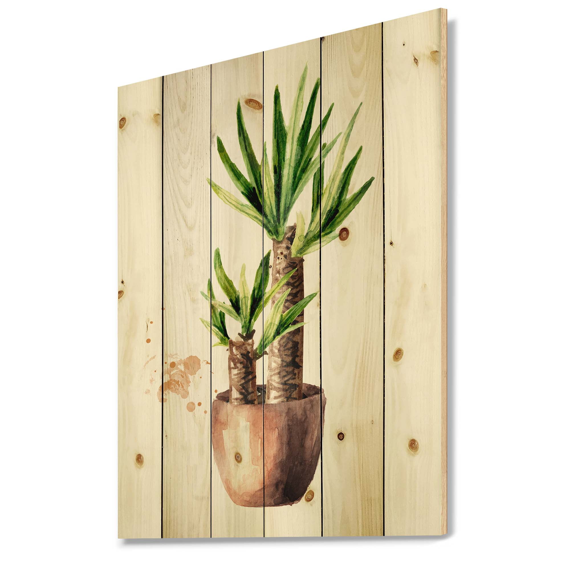 Designart 'Yucca Tree In The Ceramic Flower Pot On White' Traditional Print on Natural Pine Wood