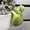 Cartoon Tortoise, variant on Cute Cartoon Tortoise Flower Pot Hugger Figurine Resin Climbing Turtle Statue Outdoor Hanging Animals Sculpture Planter Pot Decorations for Garden Patio Lawn Yard Ornaments