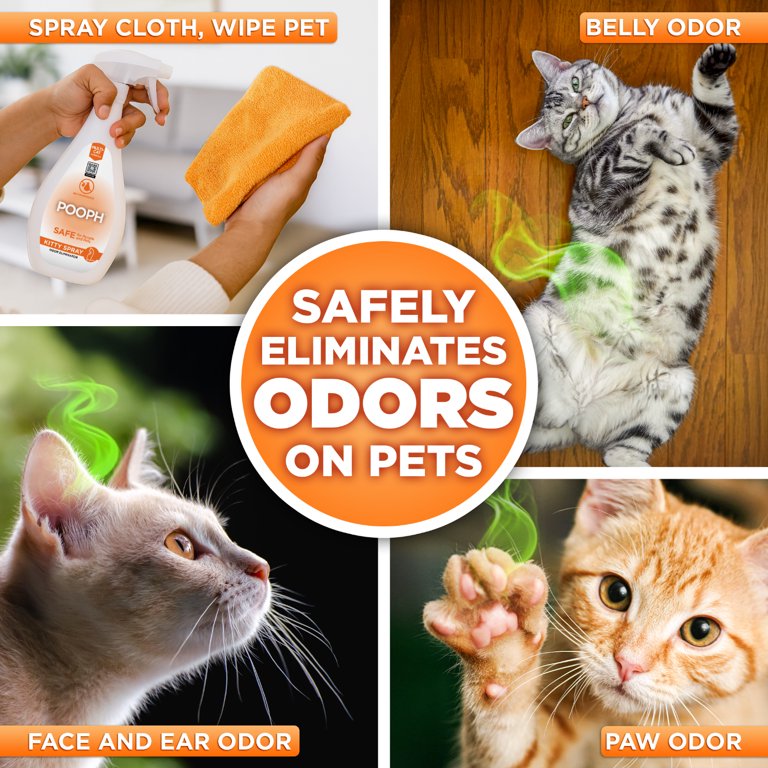 How to Remove Cat Poop Odor: Easy Tips for a Fresh Home