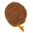 thumbnail image 3 of Cinnamon Sticks 35.2 OZ | 2.2 LB | ~170-200 Sticks | Cassia Cinnamon | Great for Coffee, Tea, Baking & Oatmeal | 2-3/4" Length | 100% Raw From Indonesia | by Indian Spice, 3 of 5