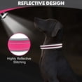 thumbnail image 4 of Collar para perros Joytale acolchado de neopreno ajustable para perros grandes, 4 of 5