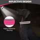 thumbnail image 4 of Collar para perros Joytale acolchado de neopreno ajustable para perros grandes, 4 of 5