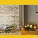 thumbnail image 5 of Lámpara de animales tallada en madera 3D decorativa para el hogar, lindo conejito lobo dragón familia presenta ideas Pascua cumpleaños sala de estar (mapache), 5 of 5