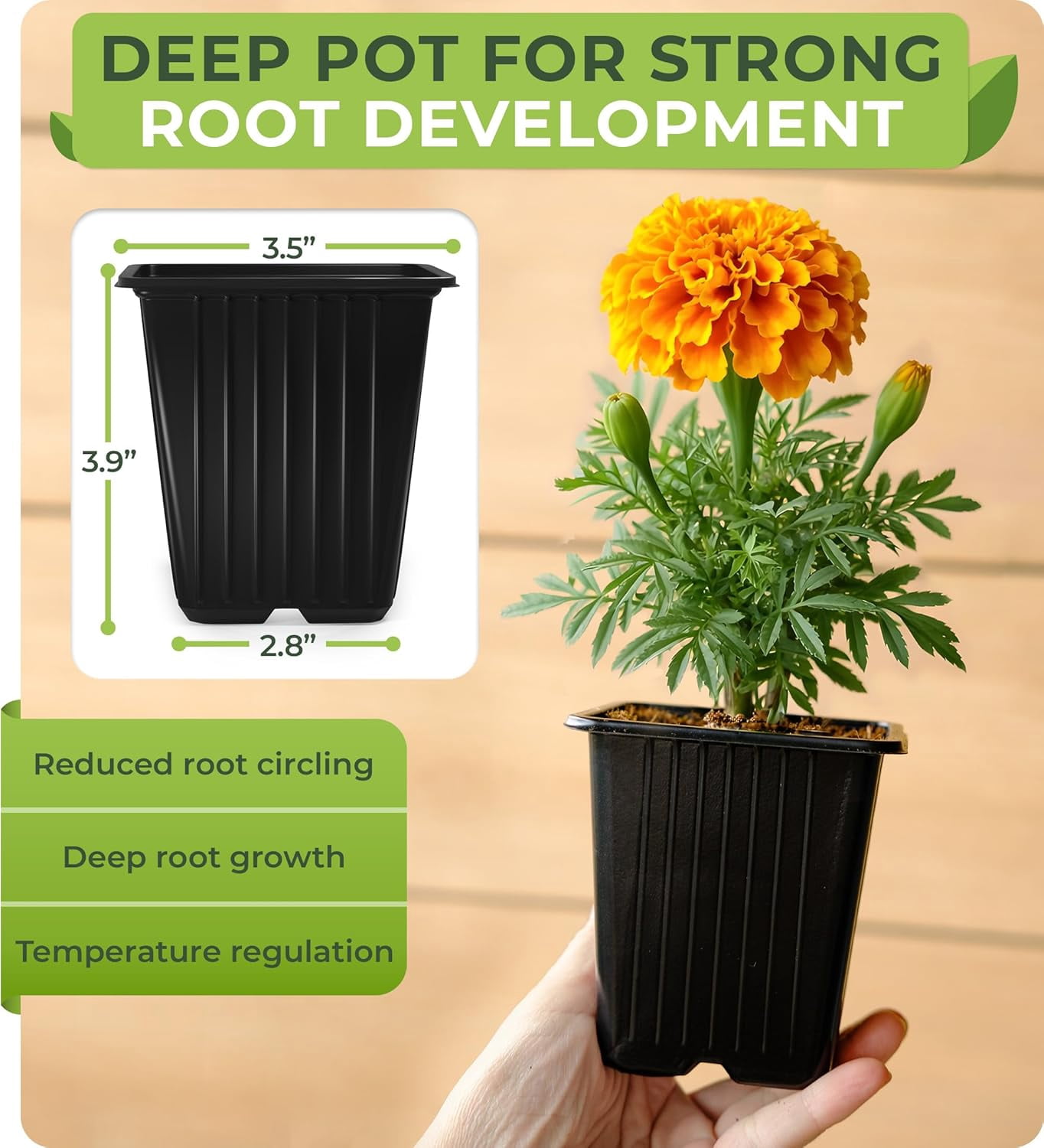 60Pack Square Nursery Pots - 3.5 Inch Seedling Plant Pot with Drainage Holes - 1020 Tray Optimized - Reusable Sturdy Seed Starter Pots for Flowers, Vegetables, Greens