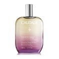 thumbnail image 1 of Moisturizing Fig Body Oil Elixir, 1 of 1