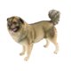 thumbnail image 5 of Figuras de animales para perros, juego educativo, manualidades, figura en miniatura, decoración para regalo de cumpleaños, juguete cognitivo para niños, amantes de los perros Perro pastor, 5 of 10