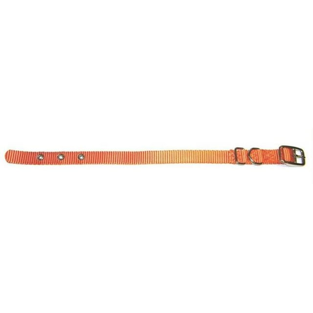 Hamilton Compagnie d'Animaux - Collier de Chien en Nylon Épais Simple - Mangue.63 X 18 - ST 18MA
