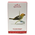 thumbnail image 2 of Hallmark Ornament: 2016 Lady Pine Grosbeak | QXE3134 | Beauty of Birds, 2 of 2