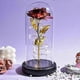 thumbnail image 4 of 2026 24k Gold Rose - Gold Plated Eternity Rose in Glass Cup with Gold Lamps, 4 of 5