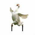 thumbnail image 2 of LSLJS Garden Stakes Cute Gooses Acrylic & Porch Goose Statues Decor Lawns Potted Decorative Ground Plug, 2 of 6