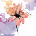 thumbnail image 2 of Watercolor Graphite Flower II Poster Print by Avery Tillmon, 2 of 2