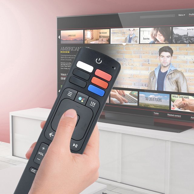 ERF3A69 ERF3169H ERF3B69 Reemplazo del control remoto para Hisense/Sharp Smart TV