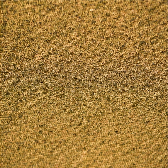 Ahgly Company Indoor Square Patterned Dark Bisque Brown Area Rugs, 6' Square
