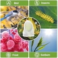 thumbnail image 6 of Fruit Protection Bags for Fruit Trees, 50pcs 6x10 Inch Nylon Mesh Garden Netting Bags Against Bugs Birds Squirrels, Cover Plants Flowers, 6 of 7