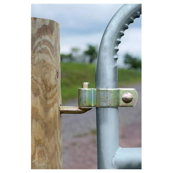 Gate Hinge Lag Kit 1 5/8"-1 3/4" - Round Tube Gate Hinges for 1"-1 3/4" OD Steel Gates - Heavy Duty Gate Hardware Kit with Bolts for Farm, Ranch, and Yard