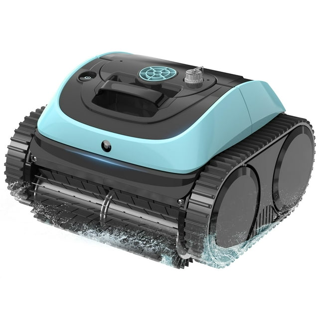 Aspirador de piscina WINNY POOL CLEANER C1 para piscinas enterradas