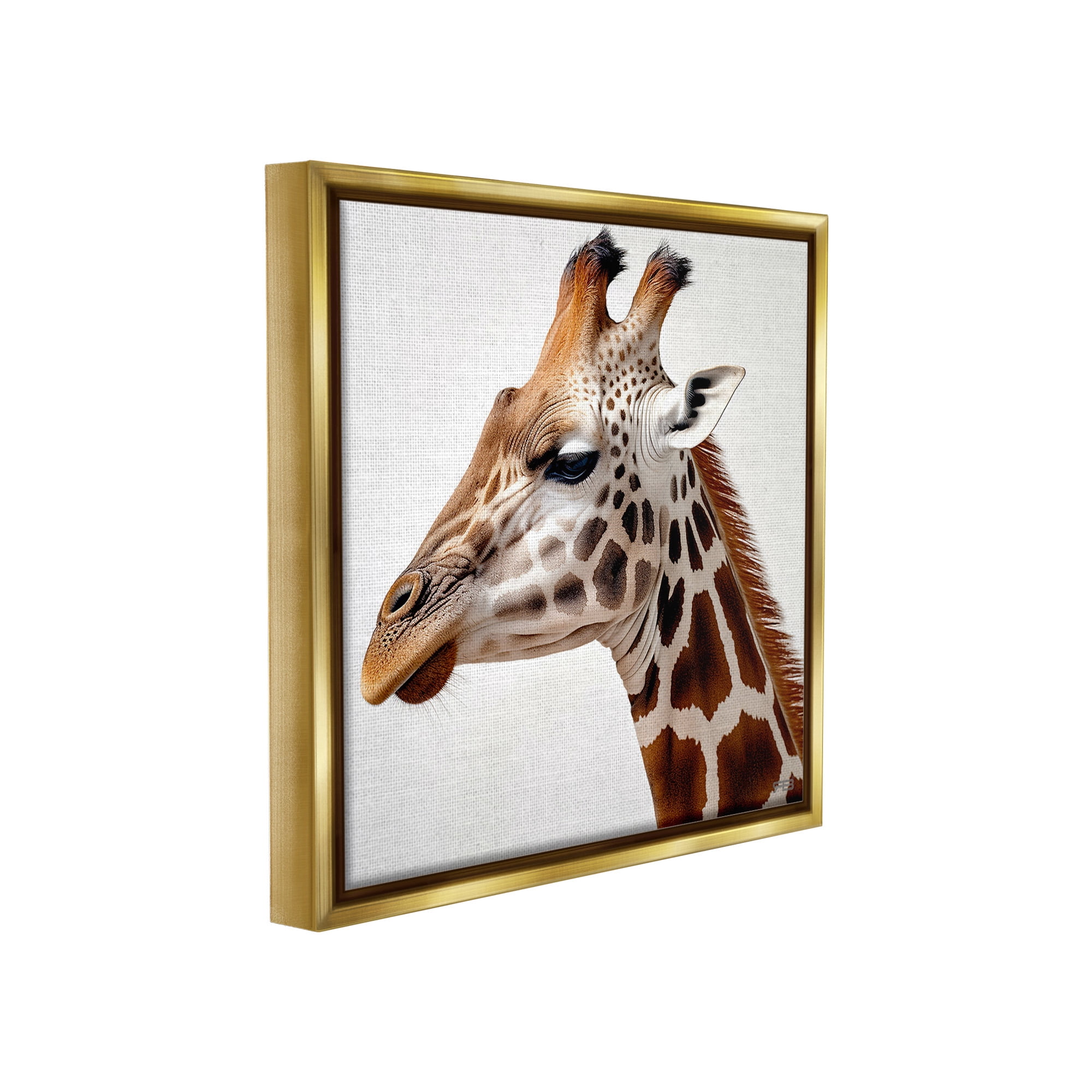 Stupell Industries Traditional Giraffe Portrait Animals & Insects Painting Gold Floater Framed Canvas Art Print Wall Art, 25 x 25