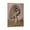 Frame-style, variant on Salvador Dali Wall Art Prints The Donkey S Carcass Art Poster Painting On Canvas Wall Art Poster Scroll Picture Print Living Room Walls Decor Home Posters 16x24inch(40x60cm)