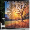thumbnail image 4 of Ambesonne Brown Shower Curtain, Autumn Fall Tree Leaves, 69"Wx70"L, Brown, 4 of 5