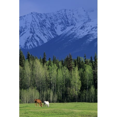 RWatts Telkwa High Road Bulkley Valley Prince George Region Bc Canvas Art - Ron Watts  Design Pics (11 x 17) - Walmart.com