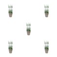 thumbnail image 1 of Bewildely Bonsai artificial de fácil cuidado de plástico para un ambiente relajante y ecológico Arreglo floral Planta en maceta artificial Type2 NO2, 1 of 6