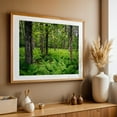 thumbnail image 4 of Shenandoah Ferns 02 - Virginia Photography Oak Framed Wall Art Print 16 x 24 inches, 4 of 6
