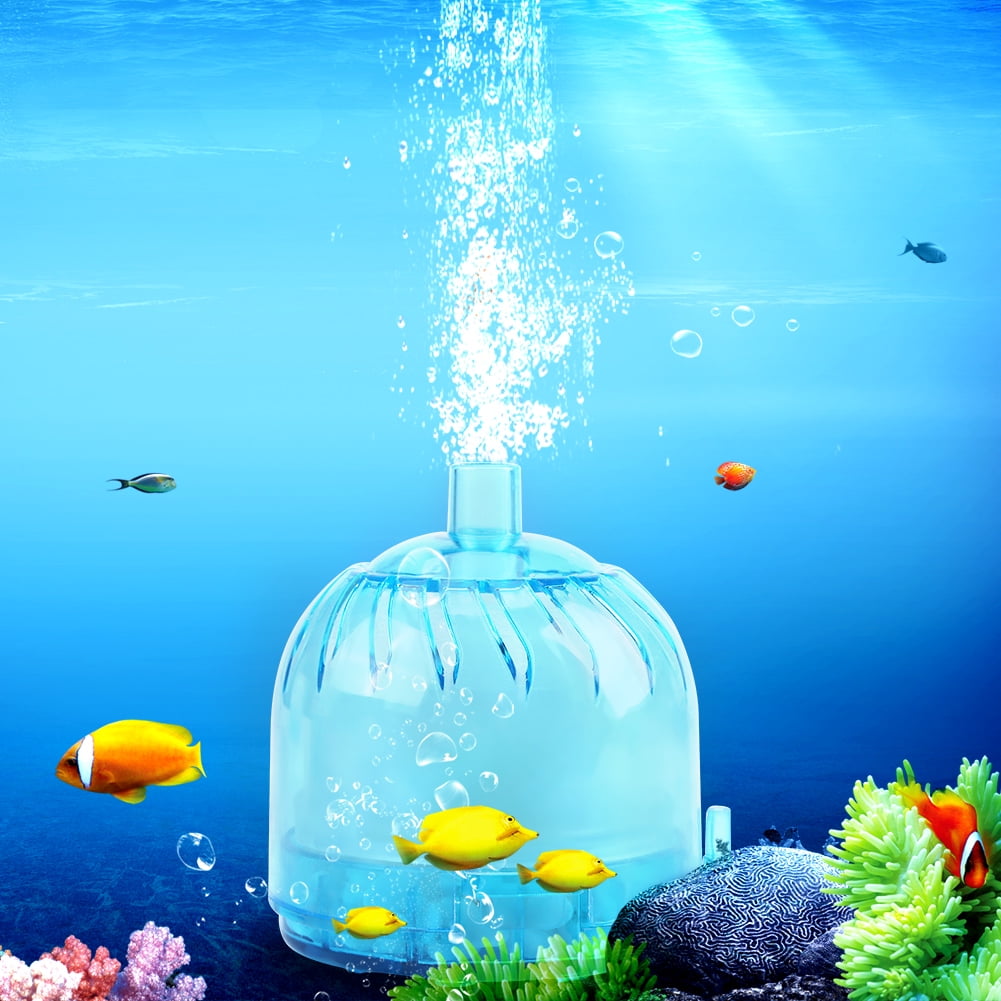 activated carbon filter aquarium