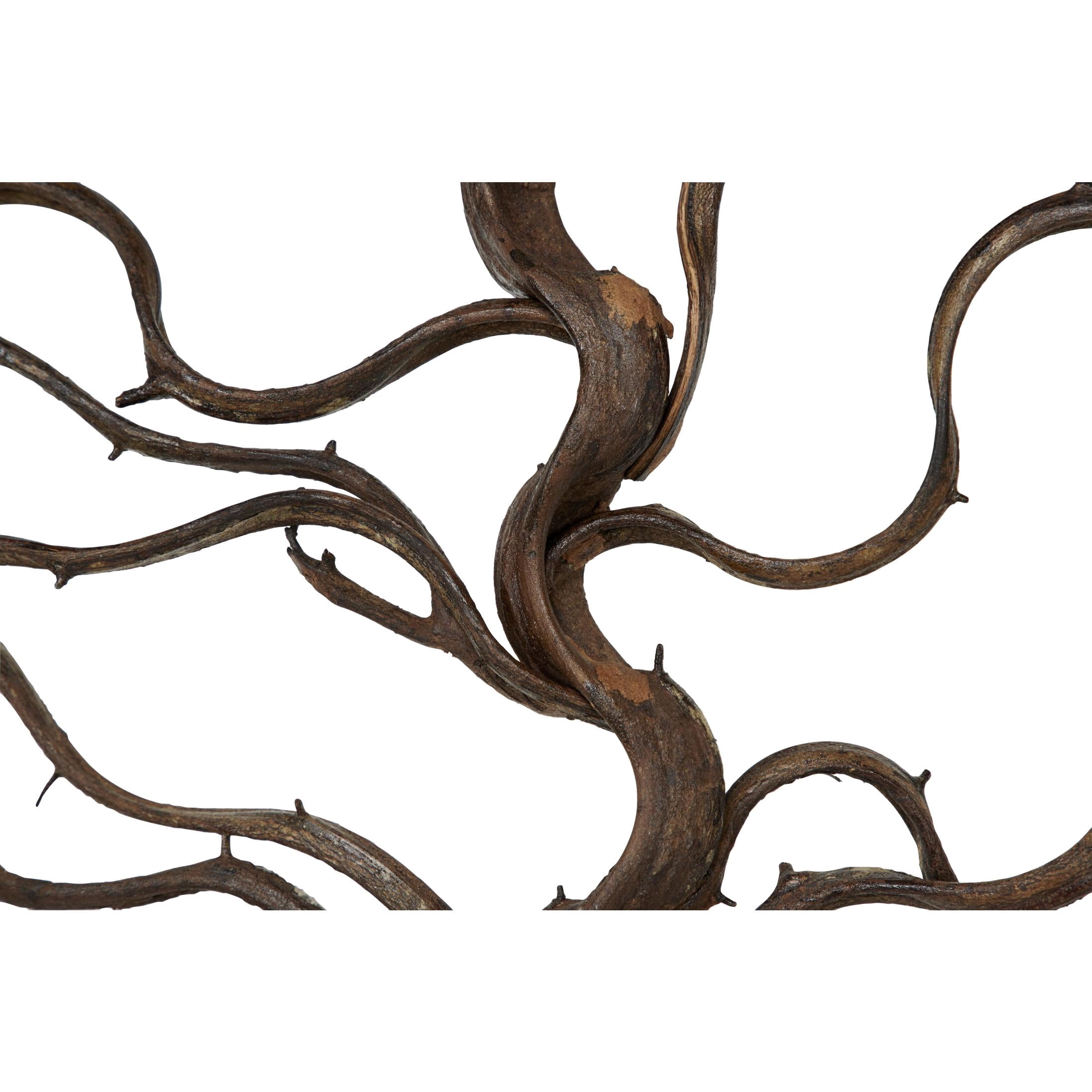 DecMode Brown Teak Wood Branch Tree Wall Decor with Black Frame