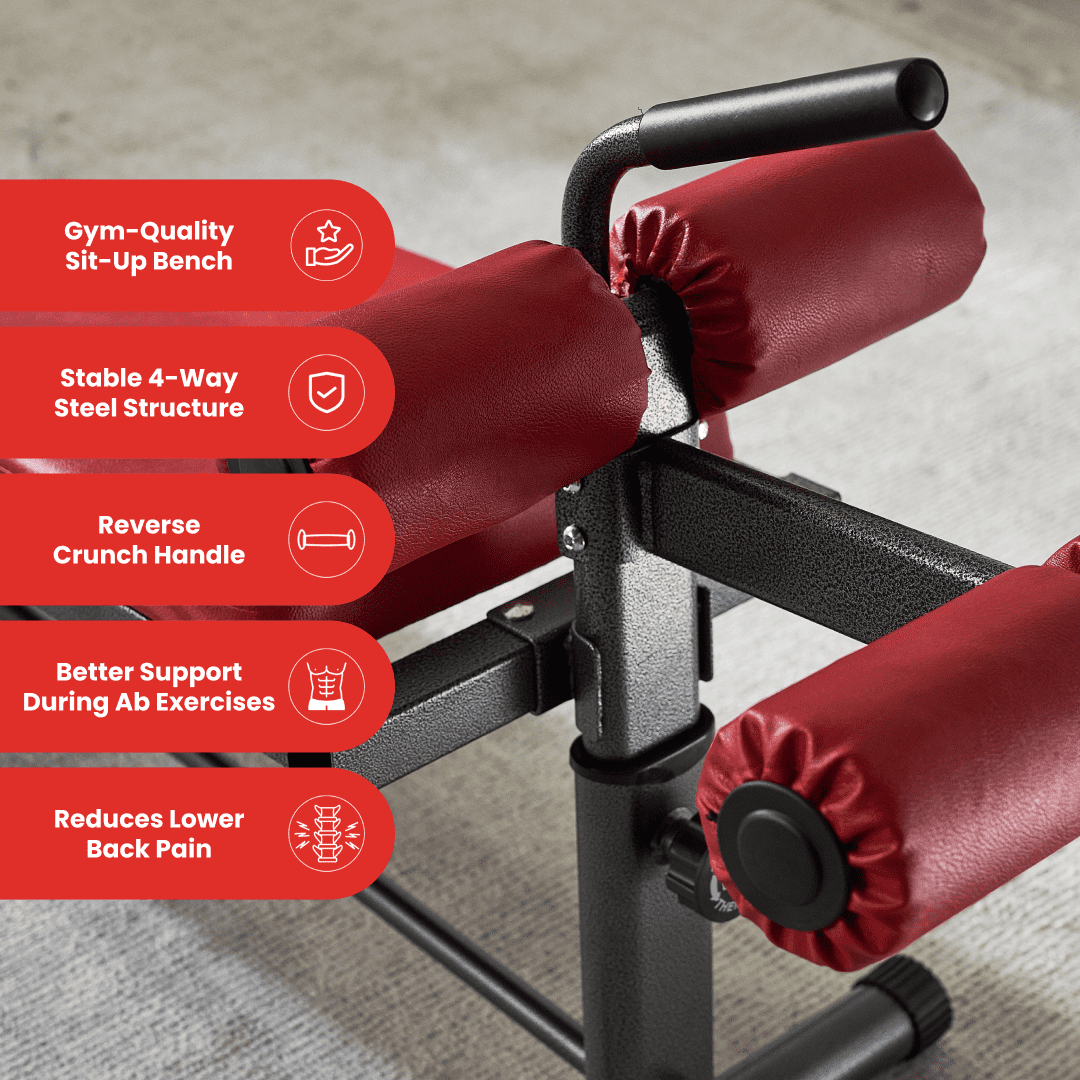 Reverse sit online ups for back
