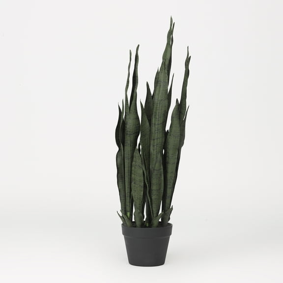 D&W Silks Sansevieria Plant in Black Plastic Pot