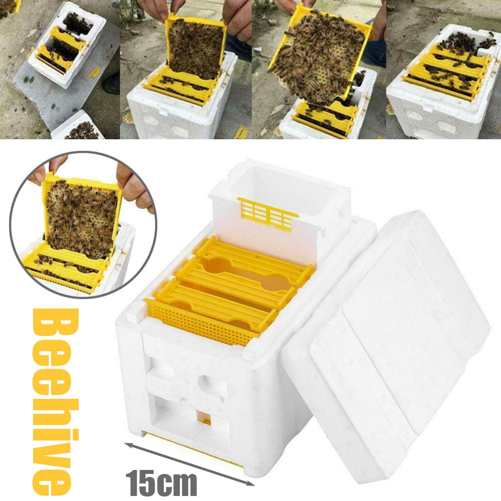 Auto Honey Beehive Frames Beekeeping Kit Bee King Box Pollination Box 
