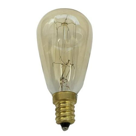 Antique 40w Vintage St15 Edison Sylte 120v Candelabra Base Light Bulb Antique 40w Vintage St15 Edison Sylte 120v Candelabra Base Light Bulb